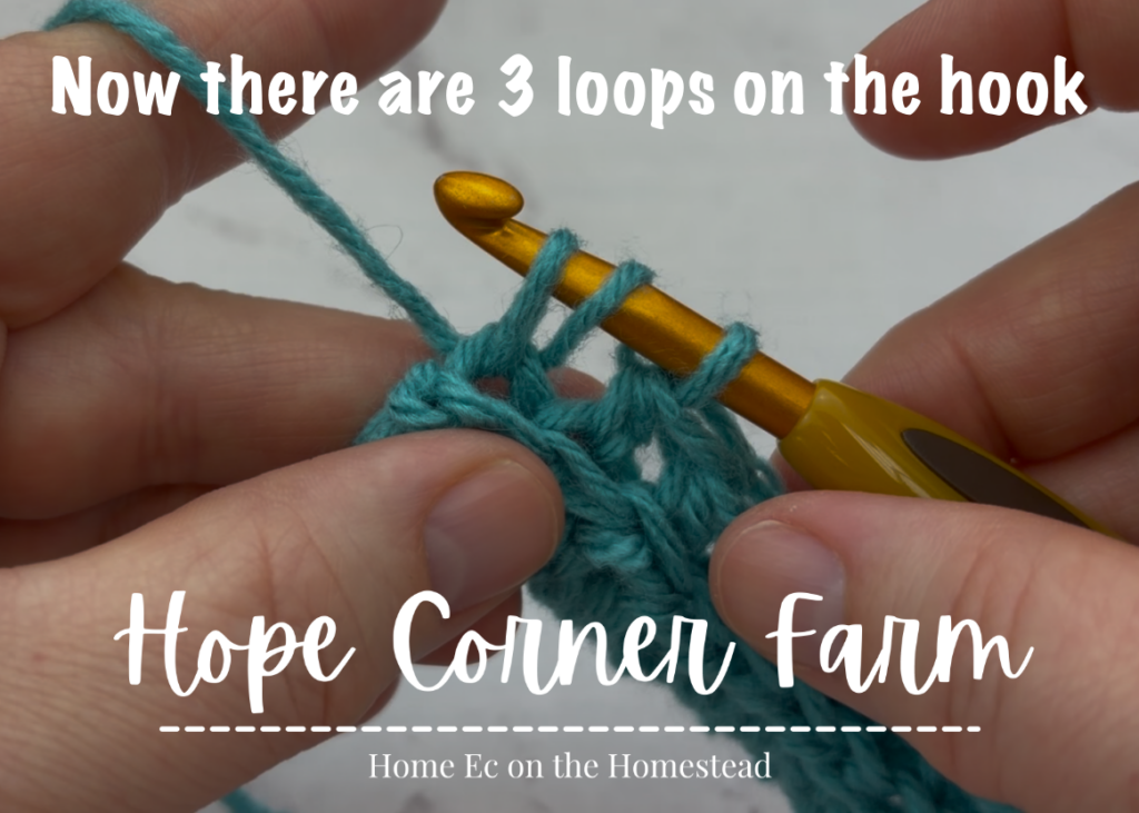 3 loops of yarn on the crochet hook