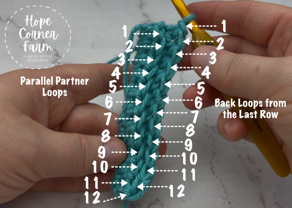 What loops to work into for the remaining rows of Thermal Half Double Crochet Stitches