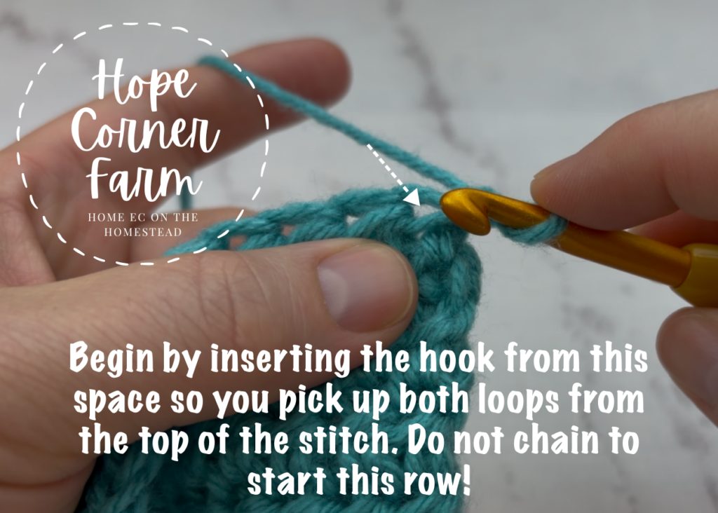 Begin by inserting the hook so you pick up both loops from the top of the crochet stitch