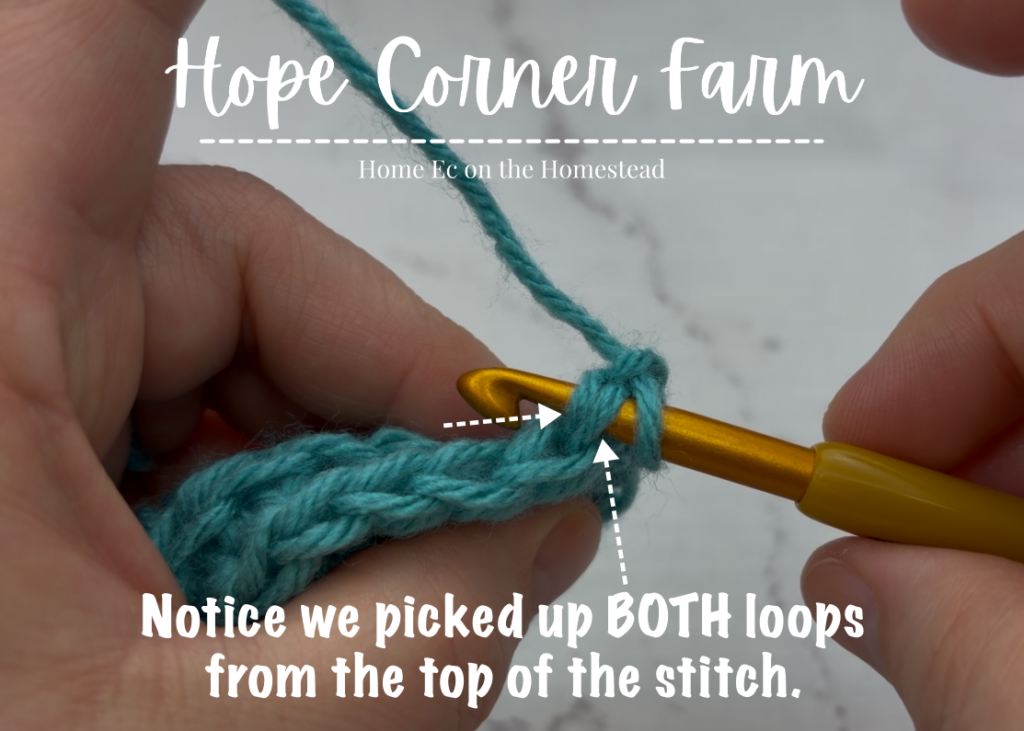 Notice we picked up both loops from the top of the crochet stitch