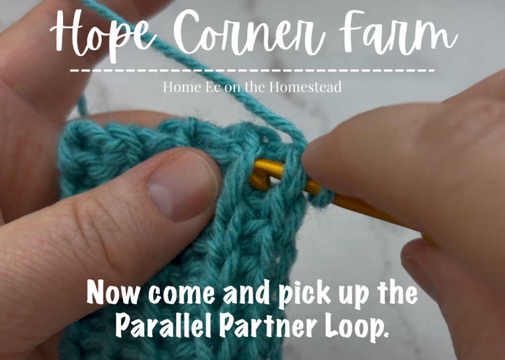 Where to insert the crochet hook