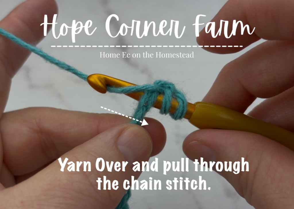 Yarn Over and pull through the chain stitch