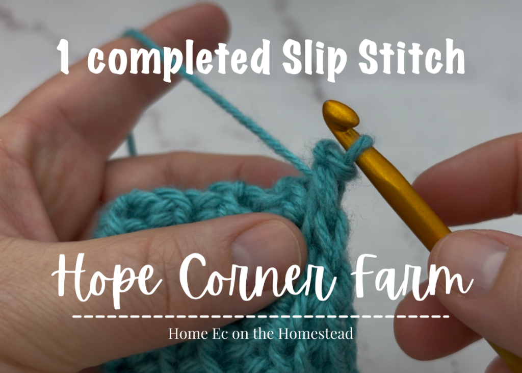 1 completed Slip Stitch
