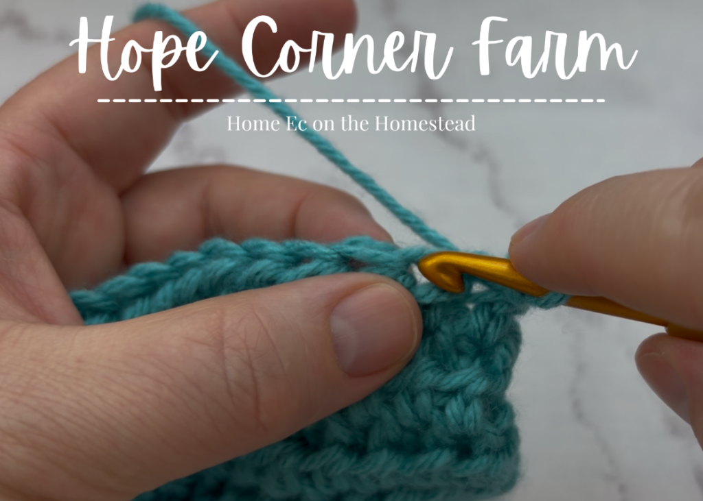 Inserting the crochet hook