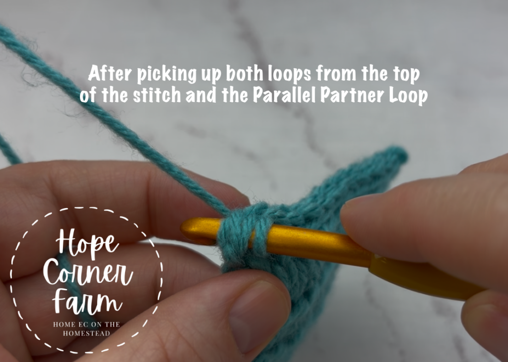 After picking up both loops from the top of the crochet stitch and the Parallel Partner Loop