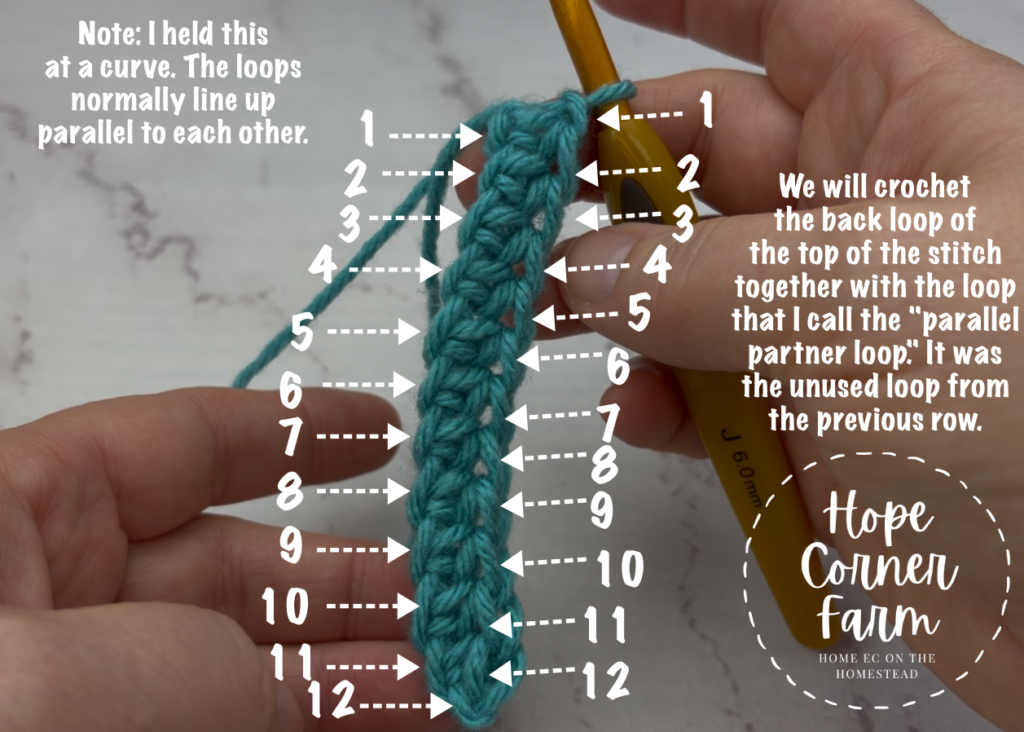 Stitch placement for Row 1 of the Thermal Half Double Crochet Stitch