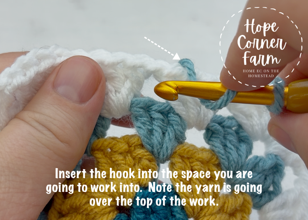 Insert the crochet hook into the space you are going to work into.