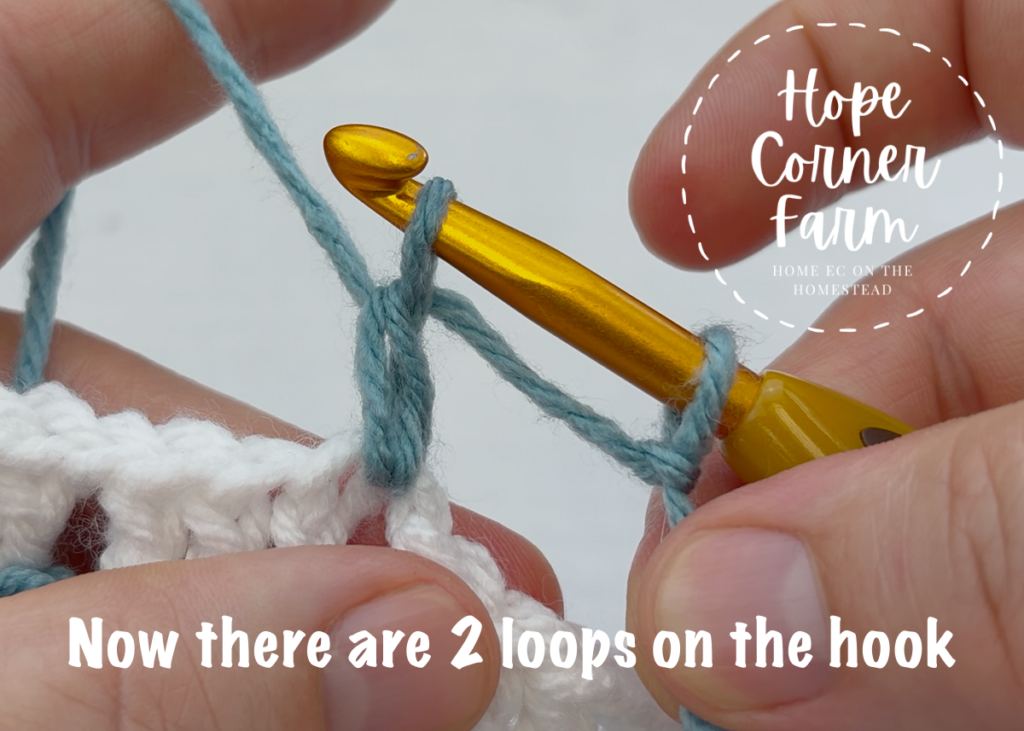 Now there are 2 loops of yarn on the crochet hook