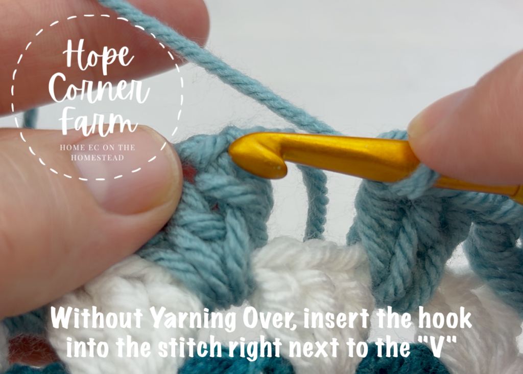 Without yarning over, insert the hook into the stitch right next to the "V"