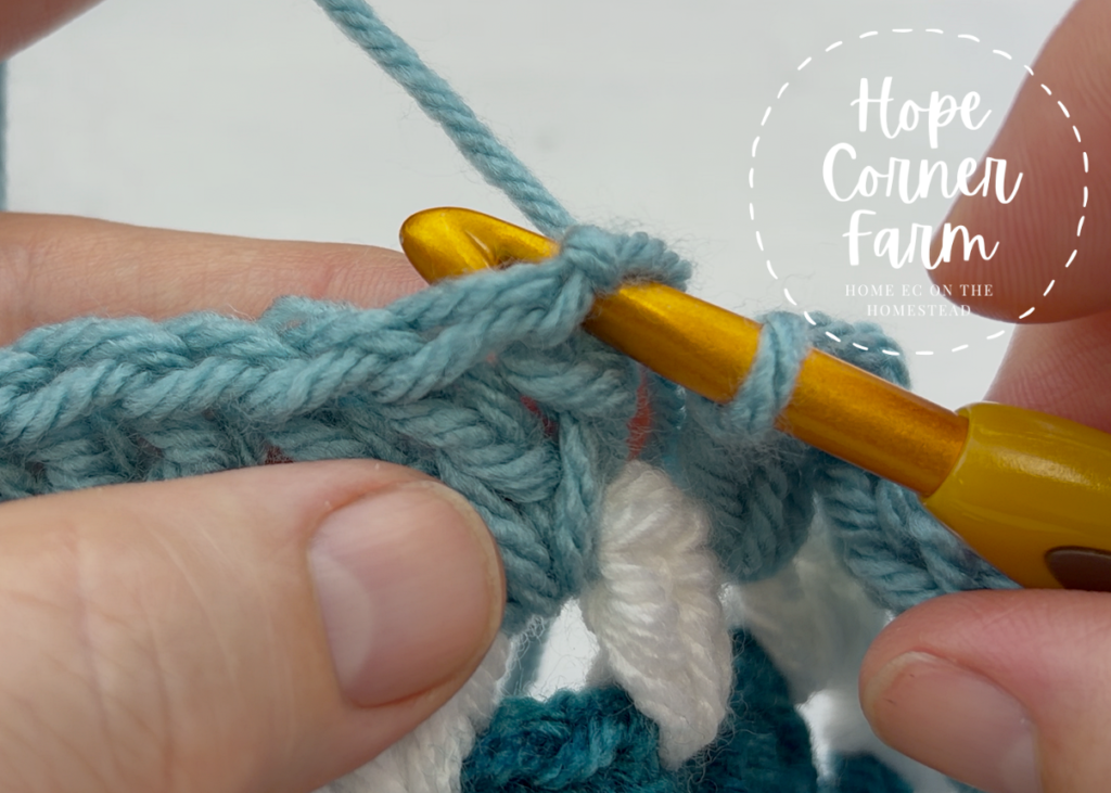 After inserting the crochet hook